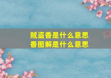 贼盗香是什么意思香图解是什么意思