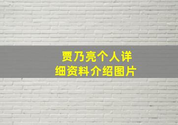 贾乃亮个人详细资料介绍图片