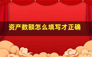 资产数额怎么填写才正确