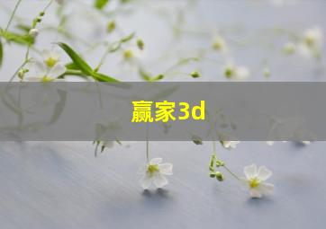 赢家3d