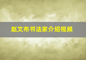 赵文布书法家介绍视频