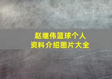 赵继伟篮球个人资料介绍图片大全