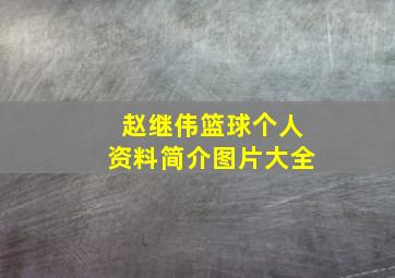 赵继伟篮球个人资料简介图片大全