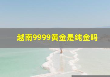 越南9999黄金是纯金吗