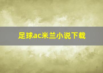 足球ac米兰小说下载