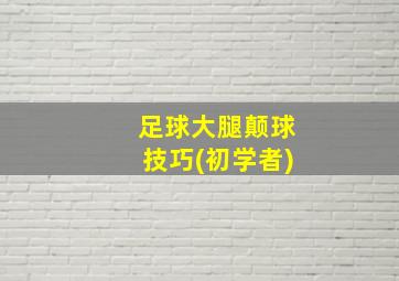 足球大腿颠球技巧(初学者)