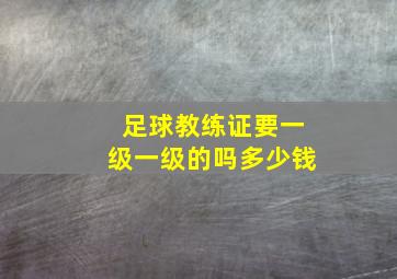 足球教练证要一级一级的吗多少钱