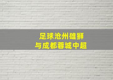 足球沧州雄狮与成都蓉城中超