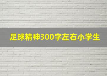 足球精神300字左右小学生