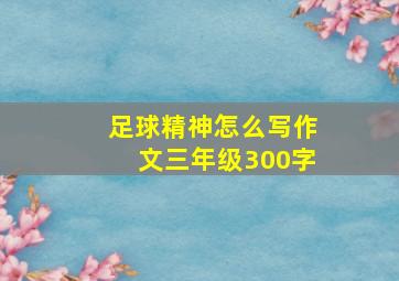 足球精神怎么写作文三年级300字