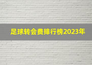 足球转会费排行榜2023年