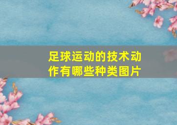 足球运动的技术动作有哪些种类图片