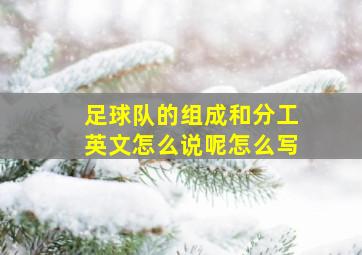 足球队的组成和分工英文怎么说呢怎么写