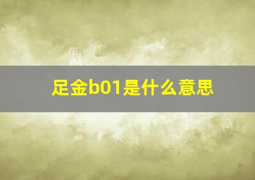 足金b01是什么意思