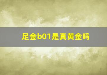 足金b01是真黄金吗