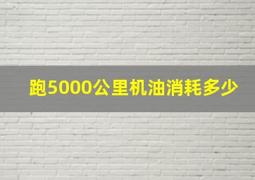 跑5000公里机油消耗多少