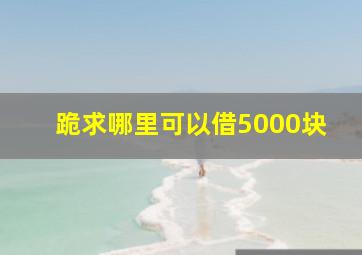 跪求哪里可以借5000块