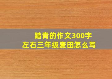 踏青的作文300字左右三年级麦田怎么写