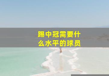 踢中冠需要什么水平的球员