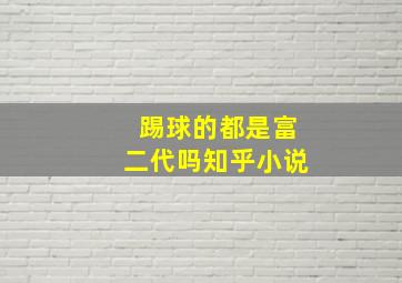 踢球的都是富二代吗知乎小说