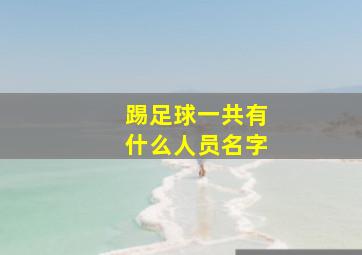 踢足球一共有什么人员名字