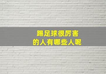 踢足球很厉害的人有哪些人呢