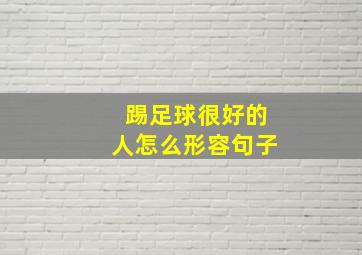 踢足球很好的人怎么形容句子