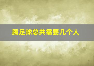 踢足球总共需要几个人