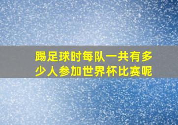 踢足球时每队一共有多少人参加世界杯比赛呢