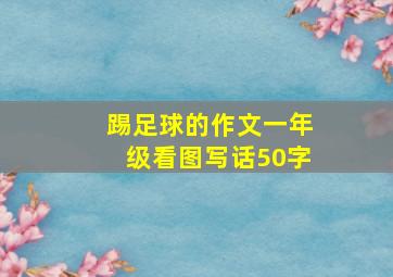 踢足球的作文一年级看图写话50字