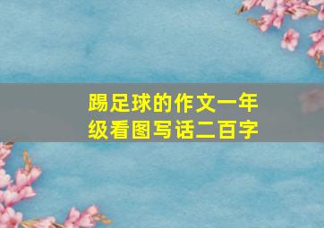 踢足球的作文一年级看图写话二百字