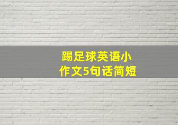 踢足球英语小作文5句话简短