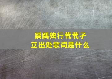 踽踽独行茕茕孑立出处歌词是什么