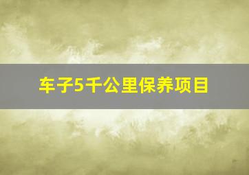 车子5千公里保养项目