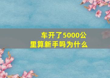 车开了5000公里算新手吗为什么