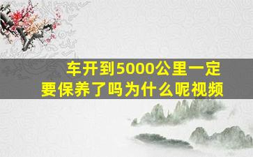 车开到5000公里一定要保养了吗为什么呢视频