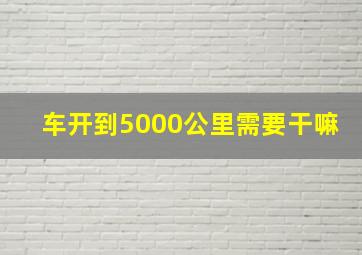 车开到5000公里需要干嘛