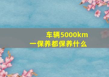 车辆5000km一保养都保养什么