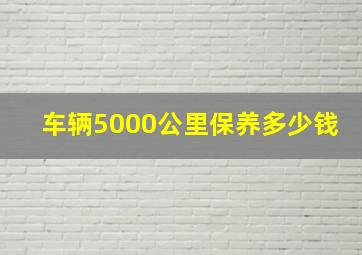 车辆5000公里保养多少钱