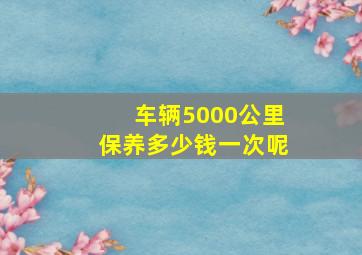 车辆5000公里保养多少钱一次呢