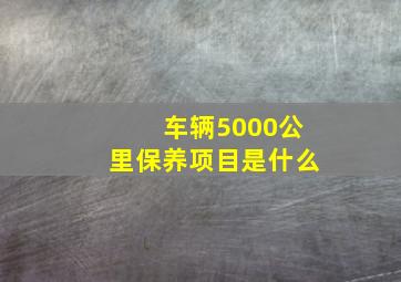 车辆5000公里保养项目是什么