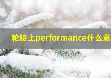 轮胎上performance什么意思