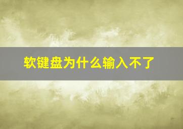 软键盘为什么输入不了