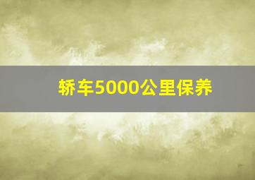 轿车5000公里保养