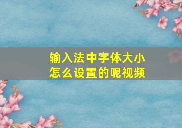 输入法中字体大小怎么设置的呢视频