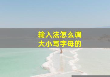 输入法怎么调大小写字母的