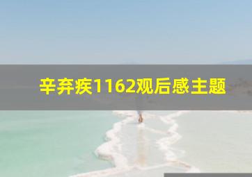 辛弃疾1162观后感主题