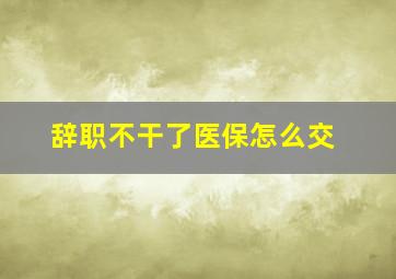 辞职不干了医保怎么交