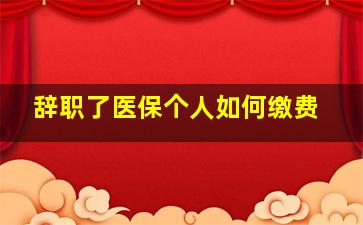 辞职了医保个人如何缴费