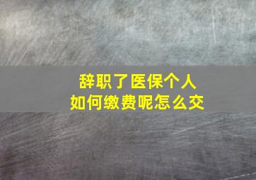 辞职了医保个人如何缴费呢怎么交